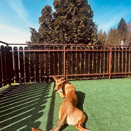 Willa Karolinka Stroza - Pet Friendly Мишлєніце Екстер'єр фото