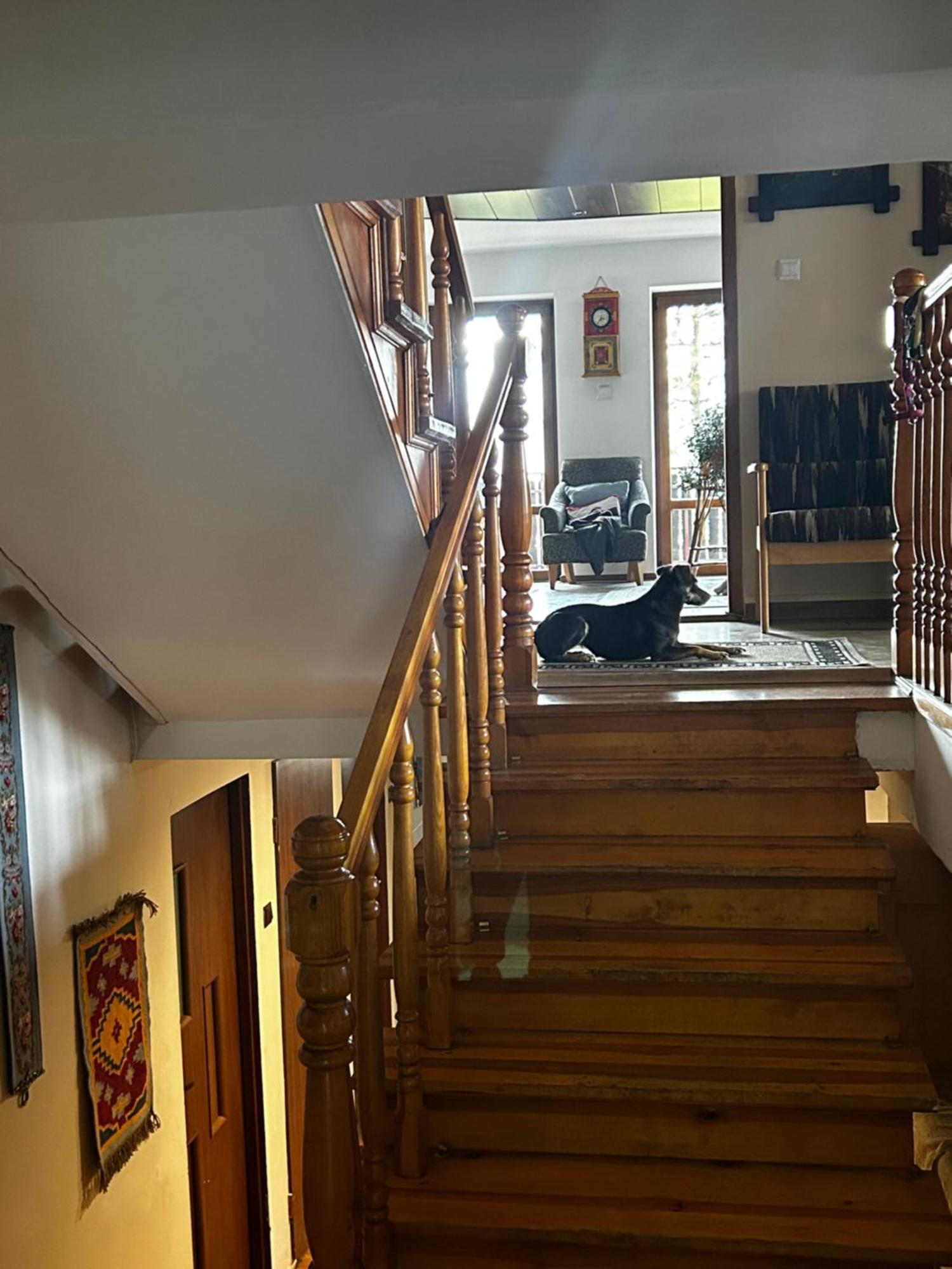 Willa Karolinka Stroza - Pet Friendly Мишлєніце Екстер'єр фото